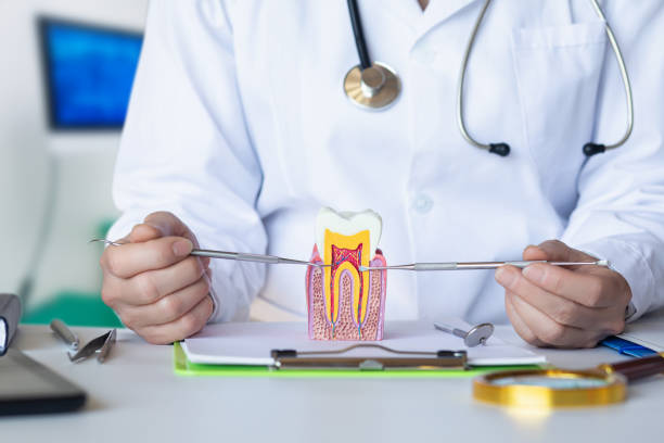 Best Dental Abscess Treatment in Leadville North, CO
